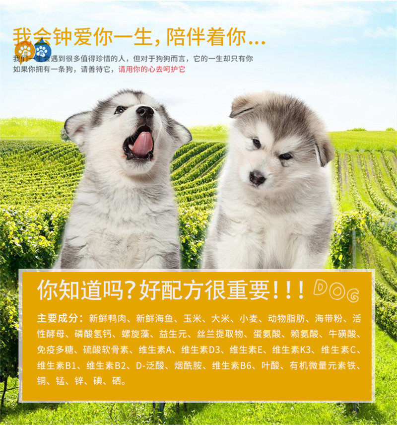 将夜朱雀是什么？ 朱雀为什么多次攻击宁缺？-KY开元集团官网