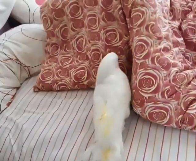 ky开元·(中国)集团官网