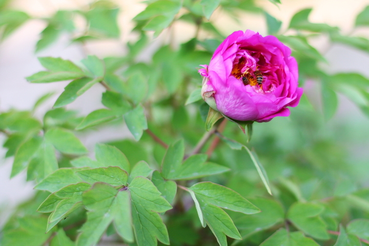 KY开元集团官网