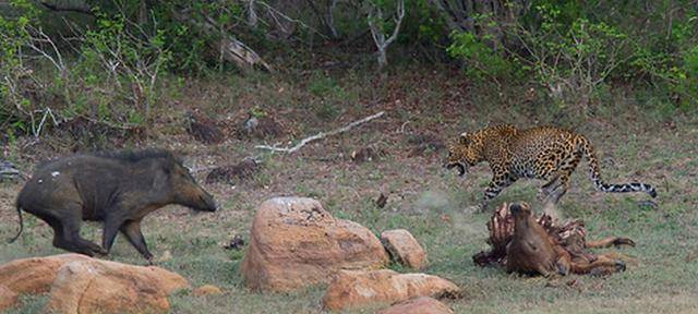 KY开元·(中国)集团