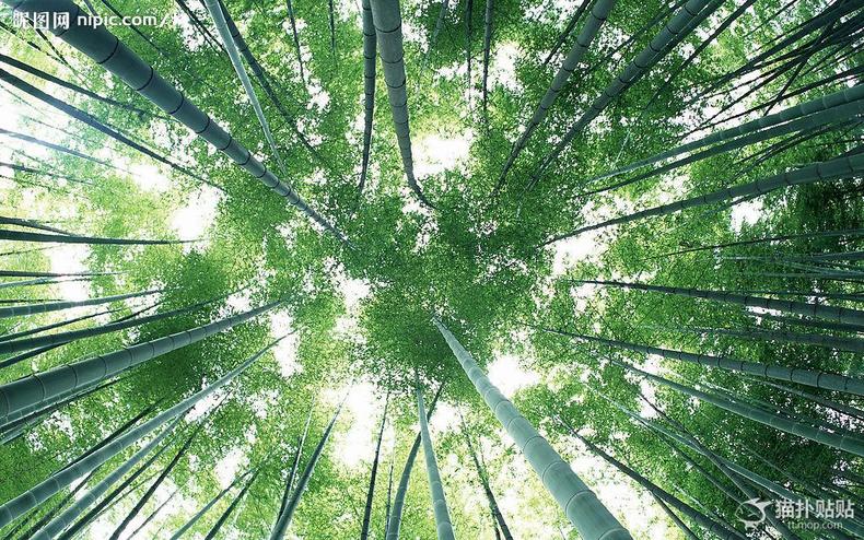 ky开元集团官网入口_夸张了吧？国足看《夺冠》感动到哭泣 球迷：艾克森一脸懵圈