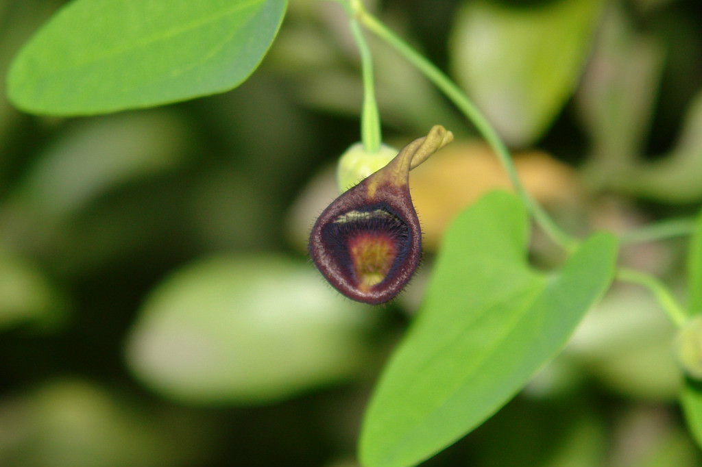 ky开元集团官网入口