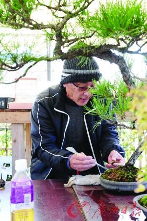 KY开元集团官网