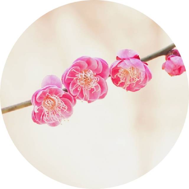 ky开元集团官网入口