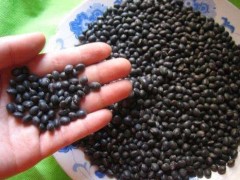 ‘ky开元·(中国)集团官网’
20个经典动漫人物 全认识的已经是孩儿他爸了！